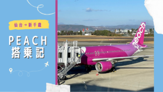 航空会社 ピーチ】LCCのピーチを利用するならアプリでの搭乗手続きがおすすめ | 旅と食と日々の暮らし